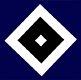 Hamburger SV